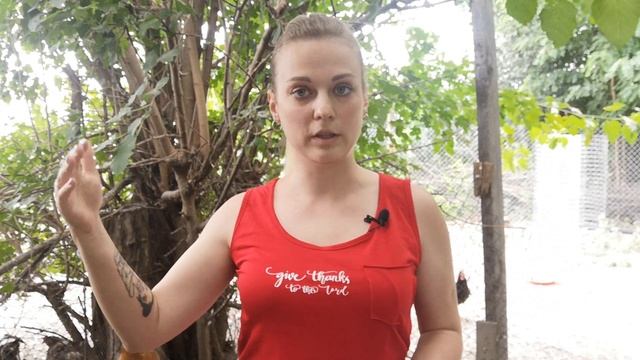 Бизнес на бройлерах. Сколько можно заработать. Деревенские Сотки. смотреть онлайн