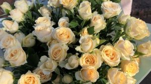 9 роз «Саммер роуз»