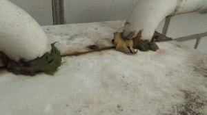 Ящик для счетчика. Какой лучше.