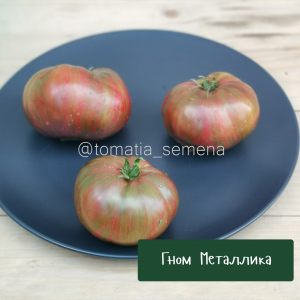 Гном Металлика