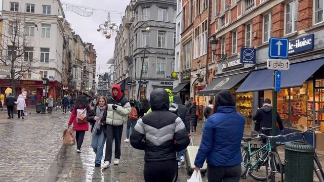 Brussels - Belgium Walking Tour 4K UHD 60 Fps