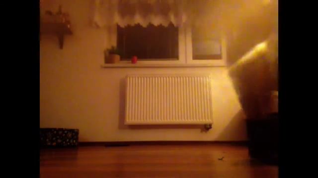 Супер пес Майло)))) смотреть онлайн