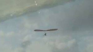 Полет на дельтаплане