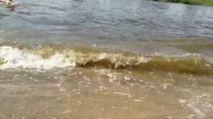 #ТАРУСА. Купаемся в Оке, гуляем по городу