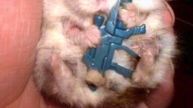 СОННИК - К чему приснилось НАПАДЕНИЕ? смотреть онлайн