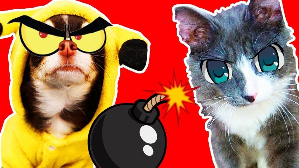 Жадина Покемон vs Котомонстр 😾🎁 Спор из-за подарков! смотреть онлайн