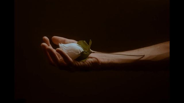 Relax. Расслабляющая, спокойная и умиротворяющая музыка. Для медитации или сна. Свидание с розой смотреть онлайн