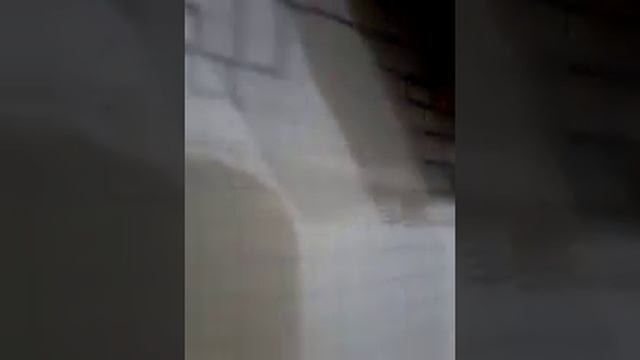 Как нарисовать зайца смотреть онлайн