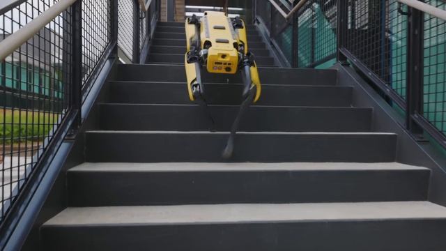 Dope Tech: Boston Dynamics Robot Dog! смотреть онлайн