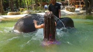 КУПАНИЕ СО СЛОНОМ. Шоу слонов. Катание на слонах в Тайланде. ДЕТИ И ЖИВОТНЫЕ. Cмешное видео