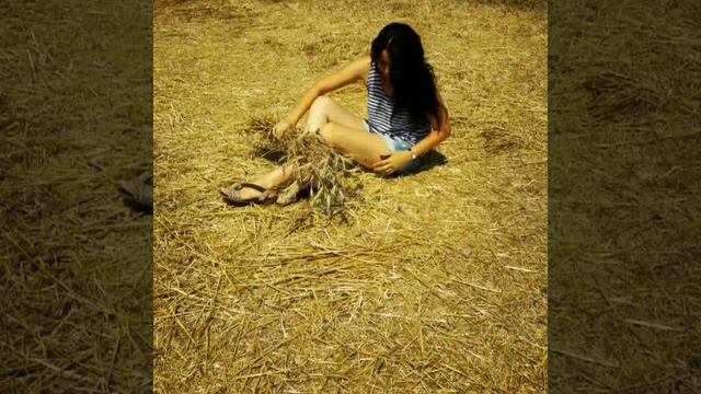 Пленэр 2017 Наша "Тоскана". смотреть онлайн