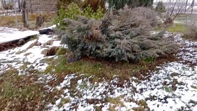Сабуровка(1) смотреть онлайн