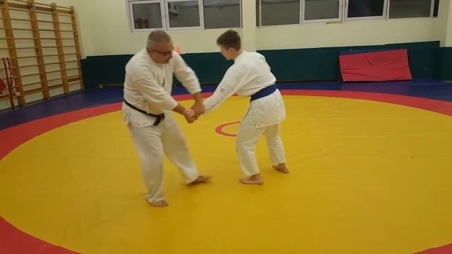 5| Reishinin ryu Aikijutsu 2020 | 10 kyu | katate dori sumi otoshi, ikke, ashi barai смотреть онлайн