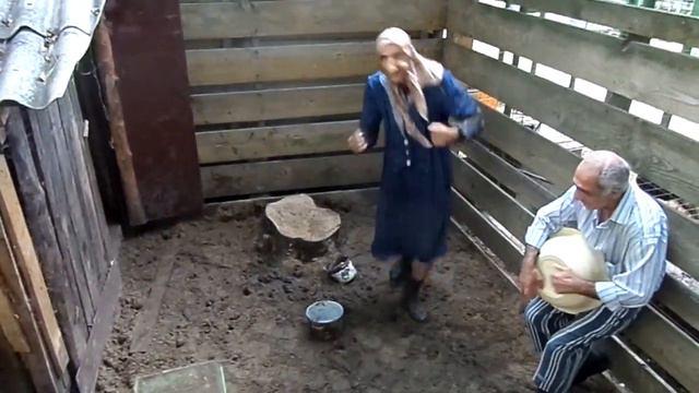Поёт в свинарнике