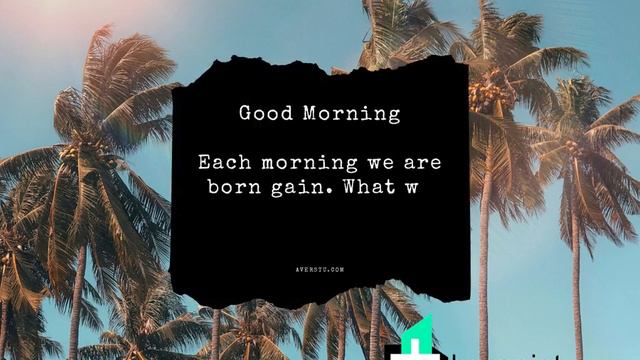 Black Bar Modern Quotes Summer Instagram Post (1280 x 1024 px).mp4 смотреть онлайн