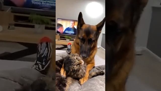 Прикольный юмор