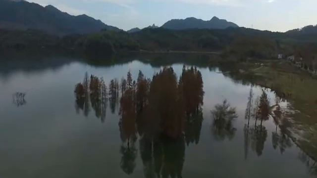 Органная медитация смотреть онлайн