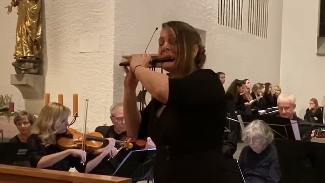 Antonio Vivaldi - Op. 44, Nr. 11, RV443 Largo - Piccolo Flute With Strings