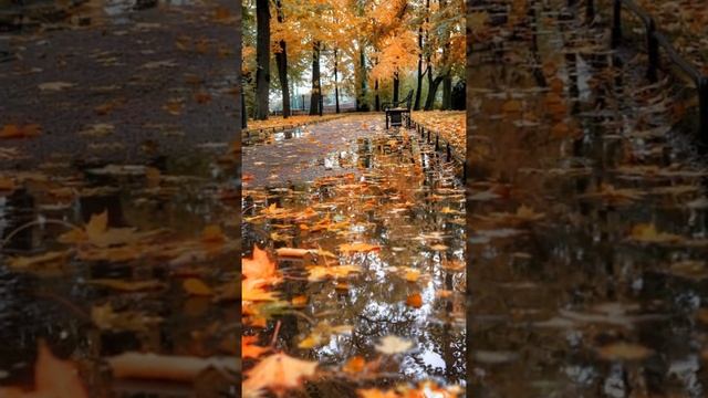 Почему осенью листья меняют свой цвет смотреть онлайн