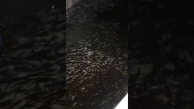 Содержание рыбы в бассейне смотреть онлайн