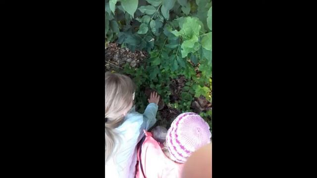 Sonetipärg Täis hingetõmbeid eestimaine ilu смотреть онлайн
