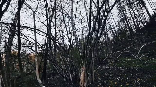 VID 20230510 121103 Письмо художнику...1932 (Н. Клюев)...Павел Васильев Лахтинский смотреть онлайн