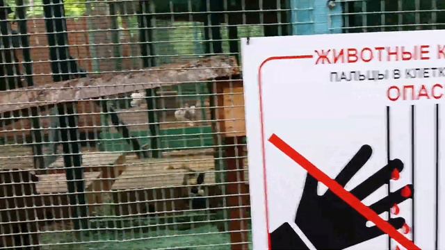 прогулка в зоопарке на Сад-городе, 2 смотреть онлайн