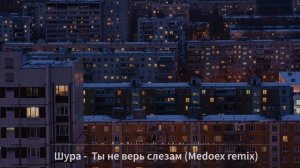 Шура - Ты не верь слезам (Medoex remix)