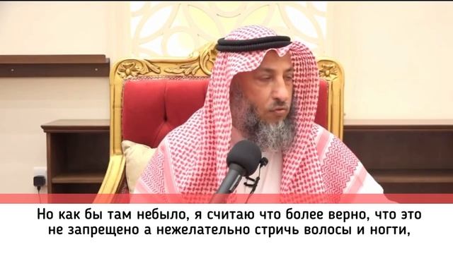 Стрижка волос и ногтей до жертвоприношения (Курбан байрам) смотреть онлайн