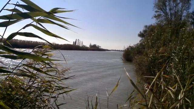 HIDEA 9,8 против Yamaha 9,9