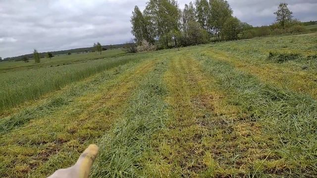 Косилка с плющилкой: плюсы и минус смотреть онлайн