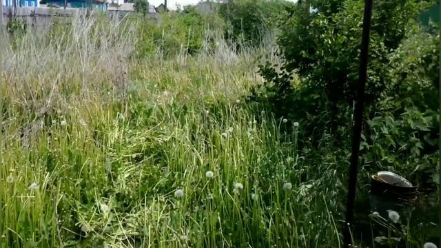 Дом в селе,обзор моего будущего хозяйства