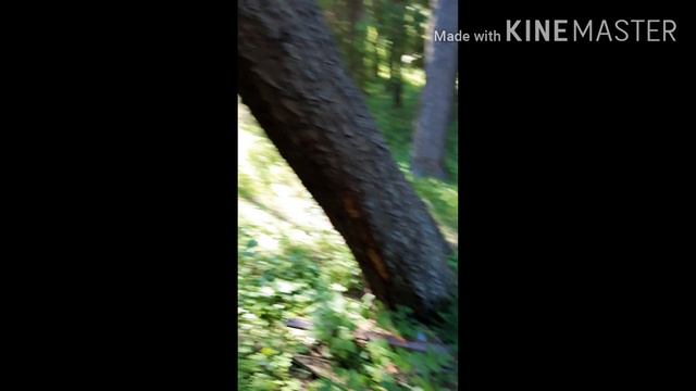 Фильм ,,ЗОНА,, смотреть онлайн