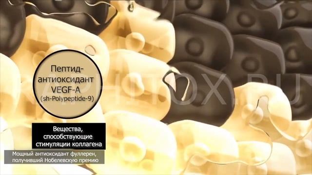 Омолаживающий крем-пилинг Raphitox смотреть онлайн