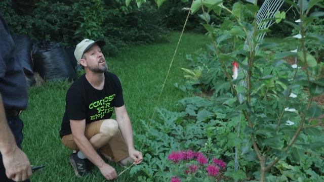 2 Tricks for Keeping Fruit Trees Small (Do this right now!) смотреть онлайн