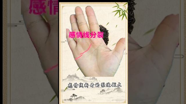 mmexport1666229848464 смотреть онлайн