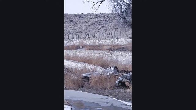 honor farm pueblo colorado смотреть онлайн