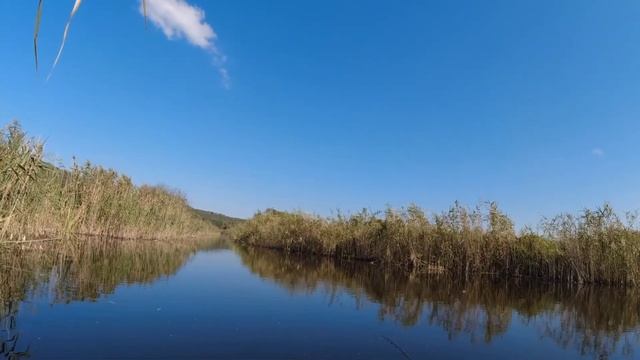 Рыбалка,ветер,солнце. Новый фаворит вытянул весь клёв... смотреть онлайн