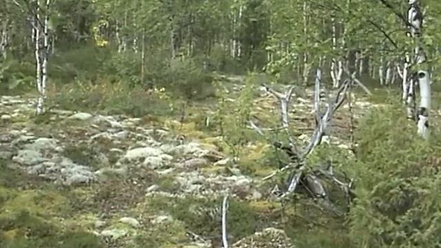 VTS 01 4 Африка мне не нужна ! Часть 4. смотреть онлайн