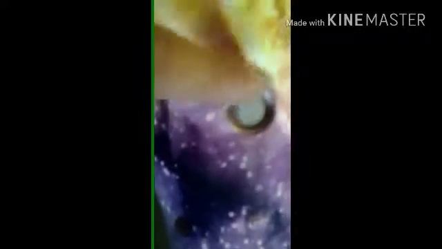 Обзор на мой Гироскутер!?