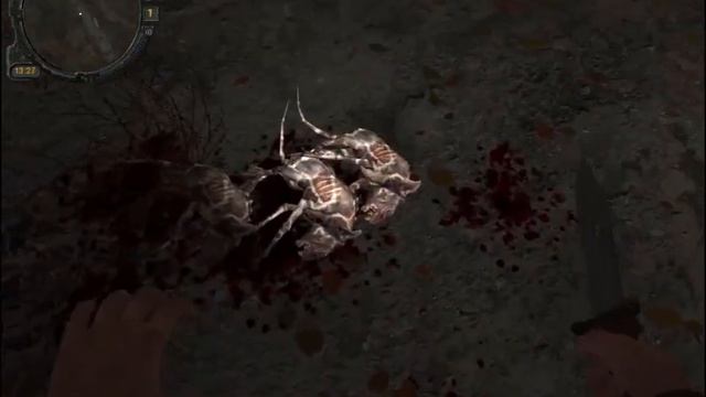 S T A L K E R ЗОЛОТОЙ ОБОЗ 2 СБОР СНАРЯЖЕНИЯ НАЙТИ ТАЙНИК С ПДА смотреть онлайн