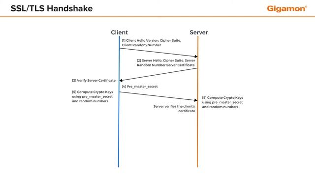 SSL/TLS Handshake смотреть онлайн