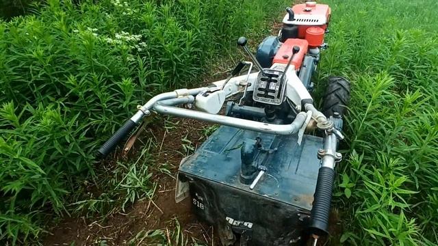 Дизельный мотоблок по зеленой траве через месяц после фрезерования и посадка картофеля в конце июня смотреть онлайн