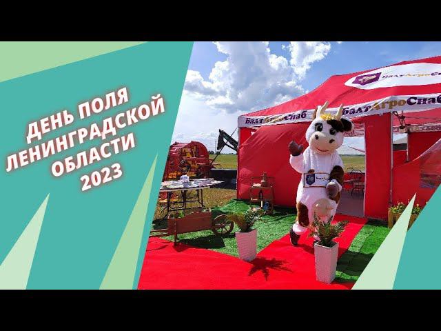 День поля Ленинградской области 2023 смотреть онлайн