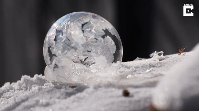 Bubbles Freeze Seconds After Being Created смотреть онлайн