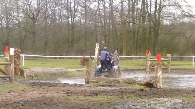 SÖDERQUIST, Karin, SWE, CAI2 Ermelo NED 2016, Horse Single Marathon Ob 4 смотреть онлайн