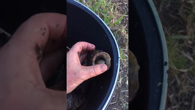 Нарские пруды. Асаково. Май 2019_2 смотреть онлайн