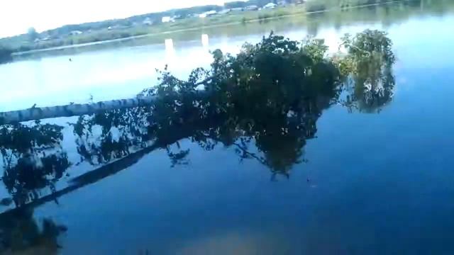 Рыбалка жесть смотреть онлайн