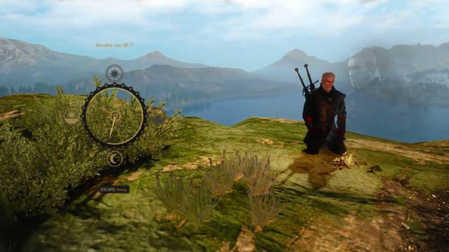 Witcher 3 - Meditation UI Change смотреть онлайн