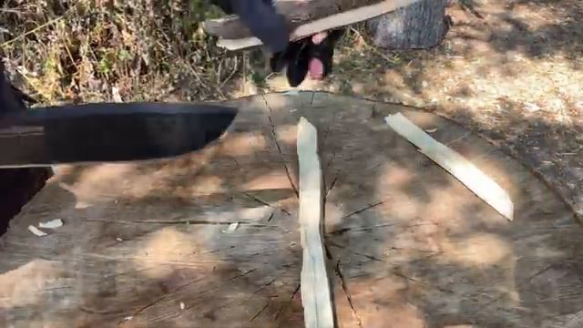 Fox FKMD Combat Jungle! N690co Steel @foxknives6579 #foxknives #edc #combatknife #bushcraft #knife смотреть онлайн